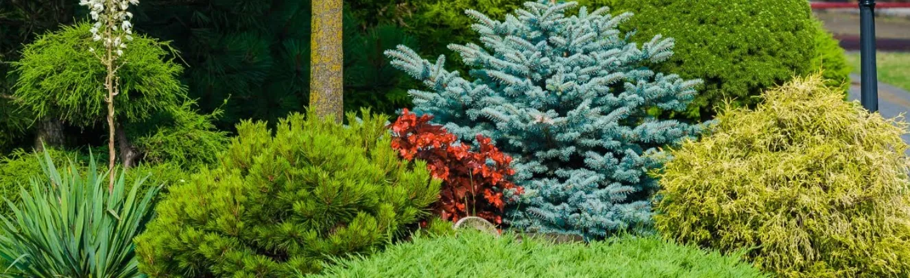 Gran campo con un vivero de árboles y arbustos